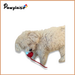 Charger l&#39;image dans la galerie, Balle interactive avec capteur de mouvement Pawplaisir ™
