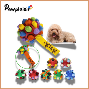 Jouet interactif pour chien Pawplaisir ™