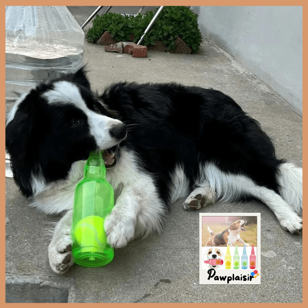 Jouets amusants pour chiens Pawplaisir ™