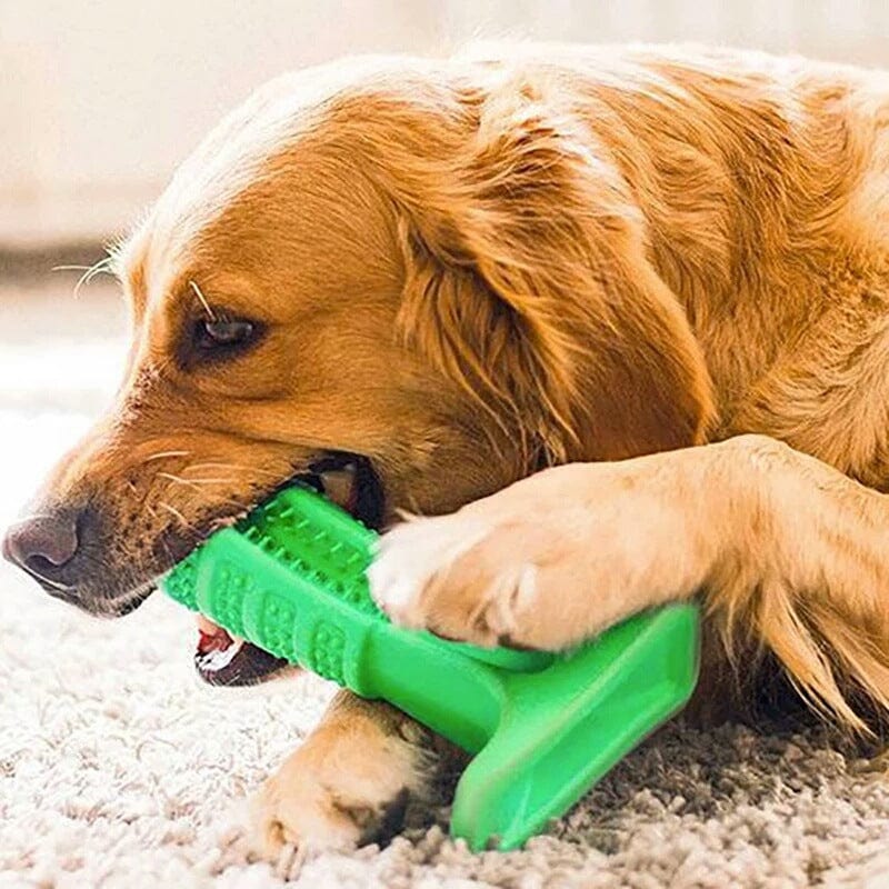 Brosse à dent Pawplaisir ™ pour chien